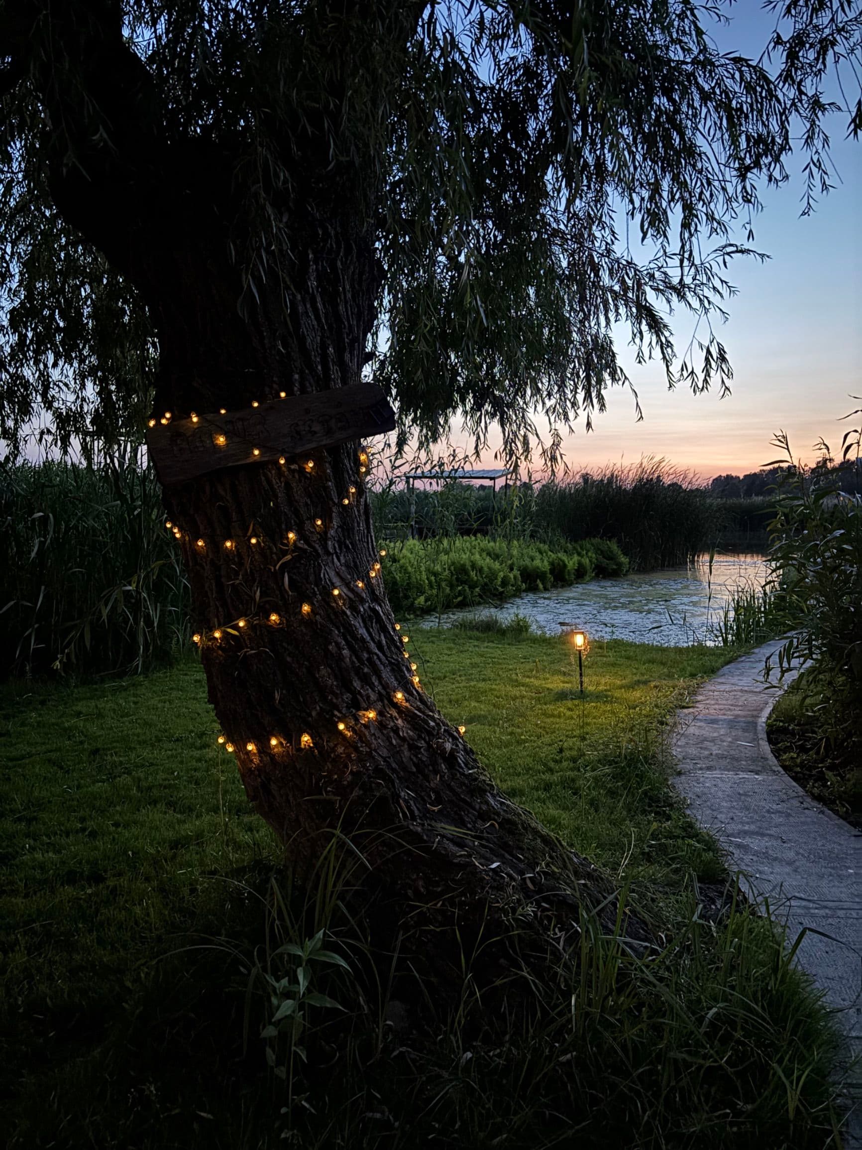 RSD Riverside - 2. kép