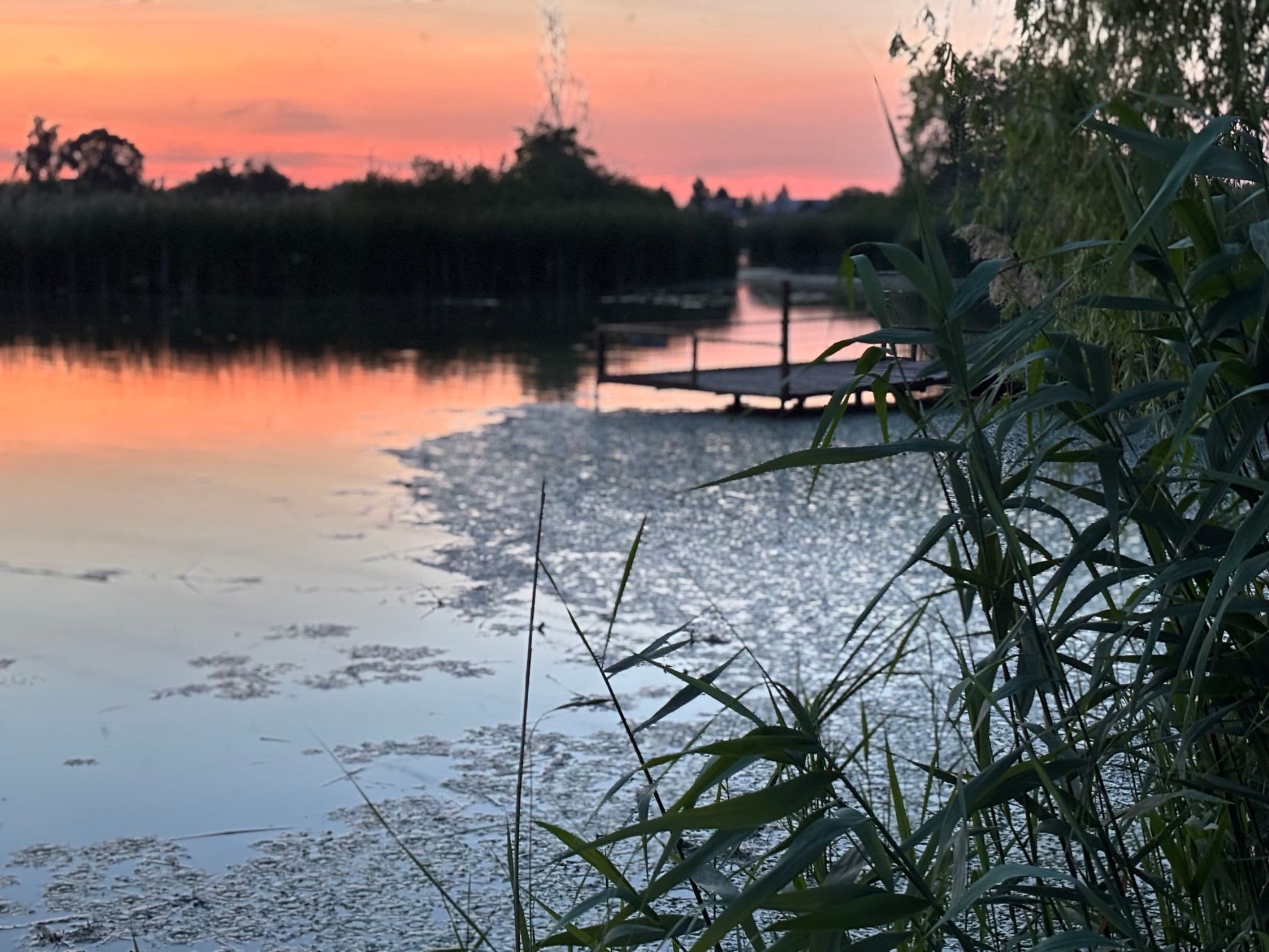 RSD Riverside - 5. kép