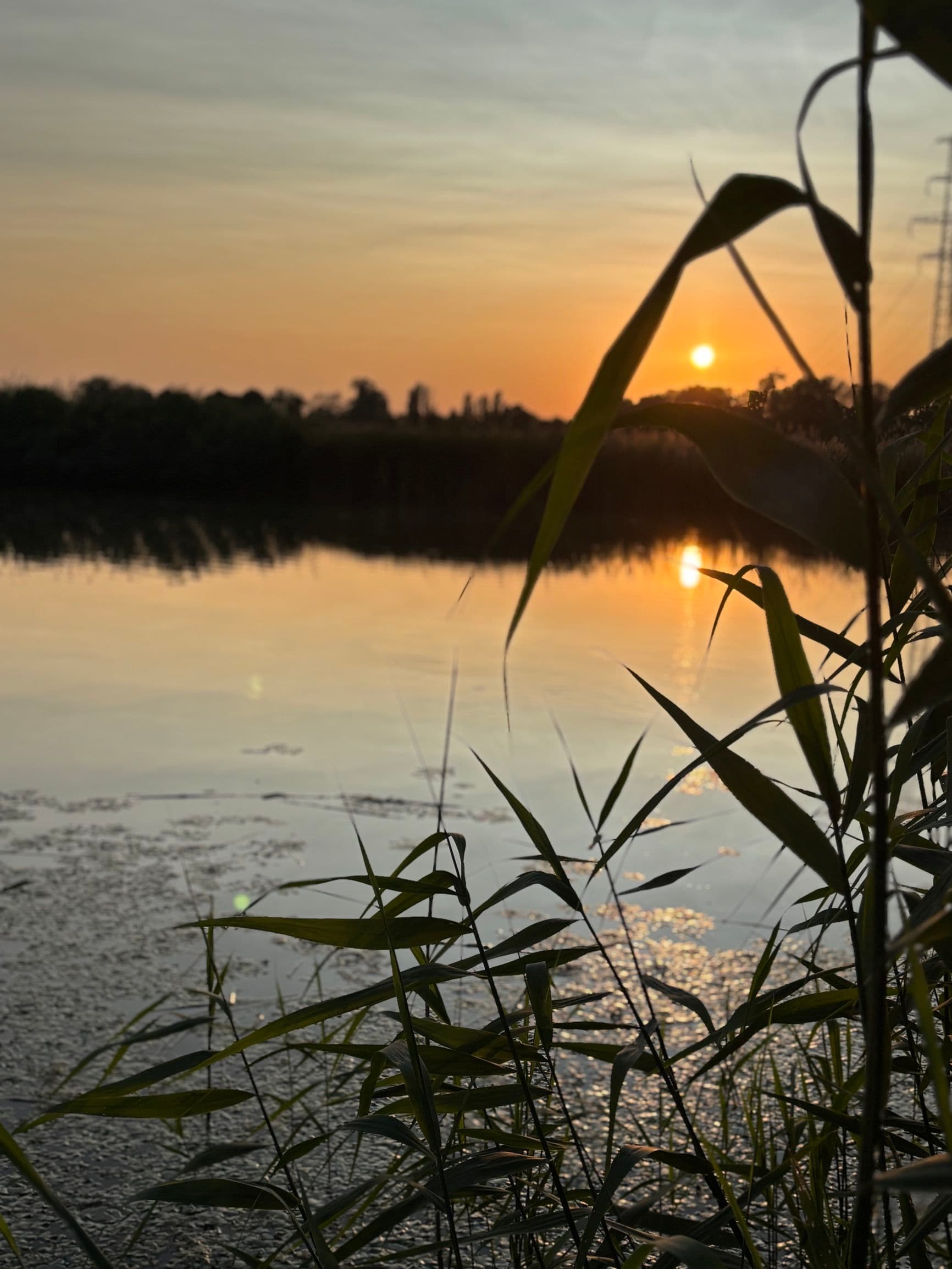 RSD Riverside - 28. kép